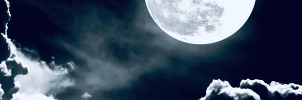 LKpaddy Profile Banner