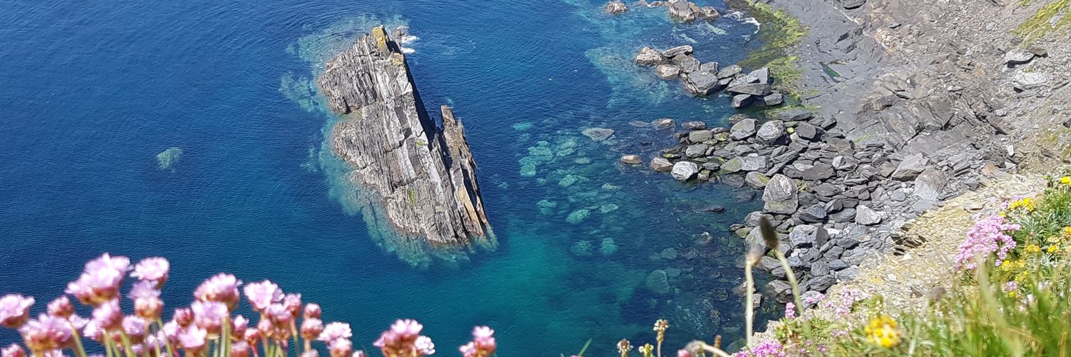 say I'm a dreamer banner