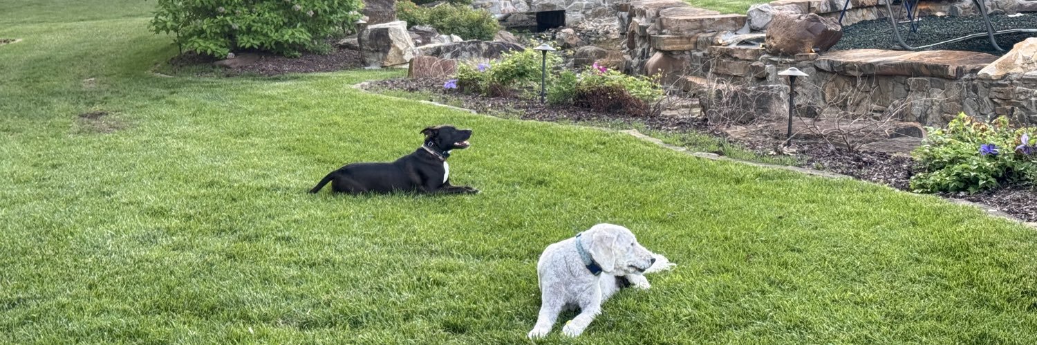 Preston McElheney banner