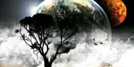 bubbles_vanbush's profile banner image