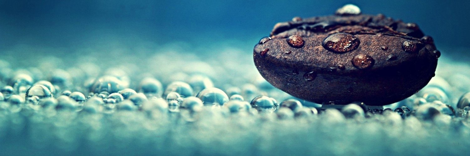 SANTANTICA's profile banner image