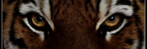 JackConway_JC Profile Banner