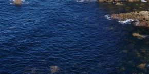 Albert Gironès banner