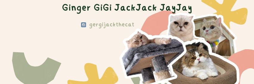 GerGiJackthecat's profile banner image