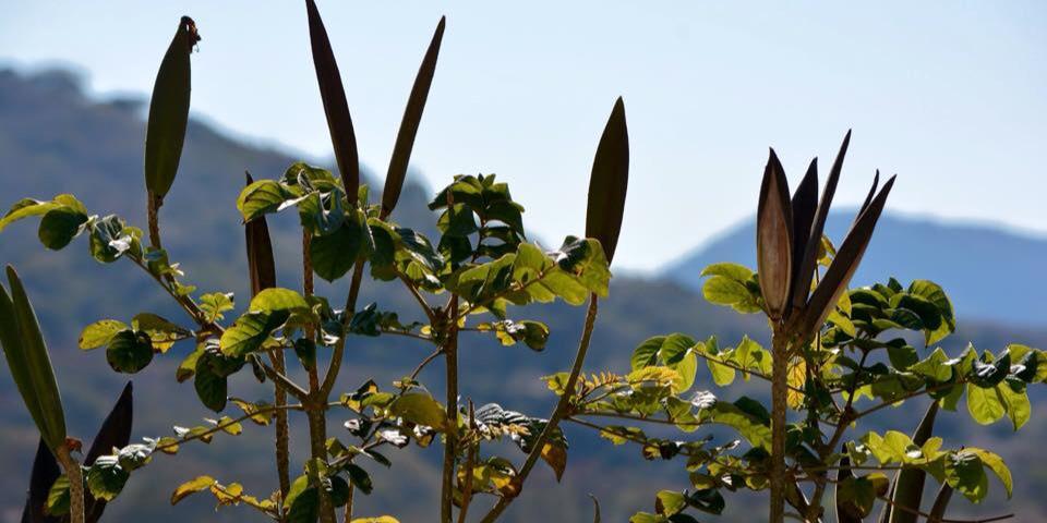 vmpgp's profile banner image