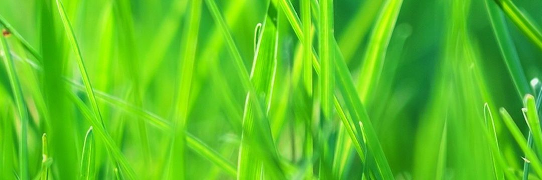 RTheyGoneYet's profile banner image