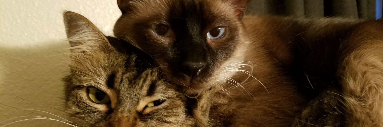 tango6145's profile banner image