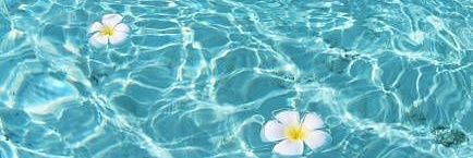 Cherry99237454's profile banner image
