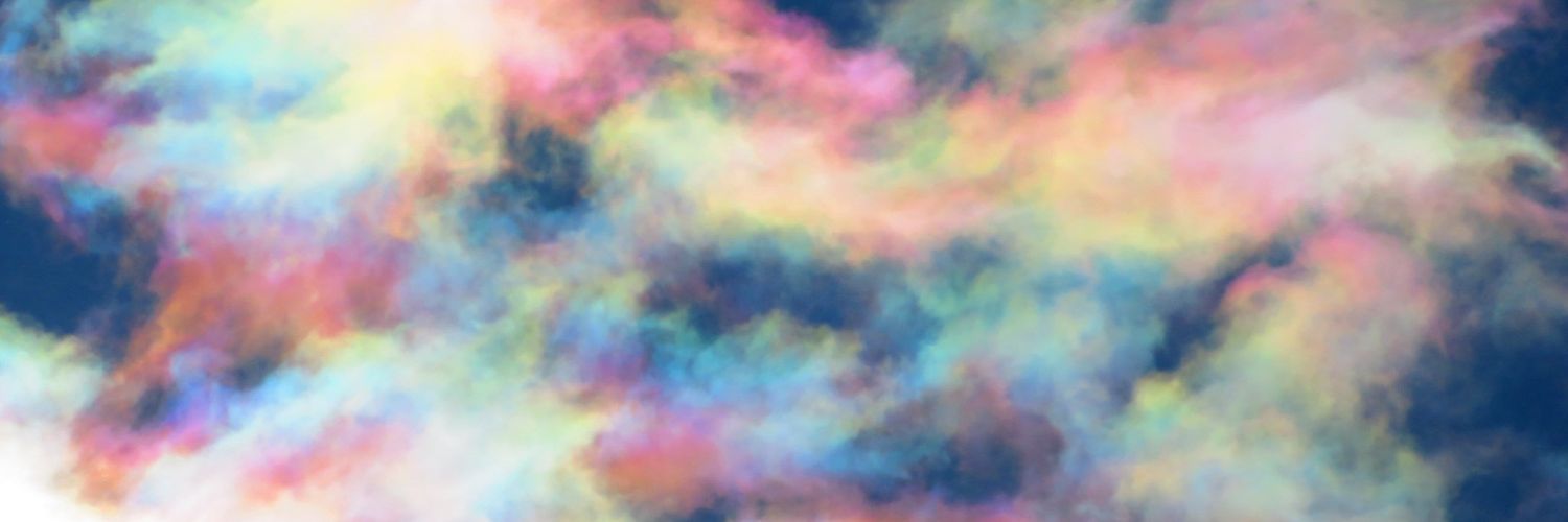 TAMA_LIN_DO's profile banner image
