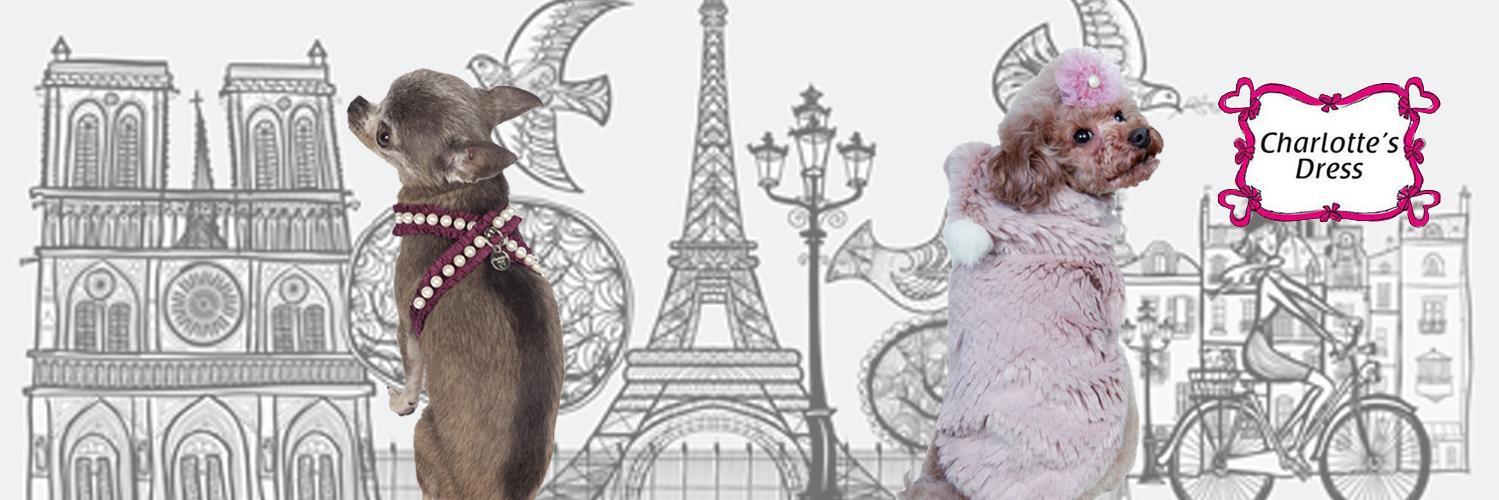 CharlottesDress's profile banner image