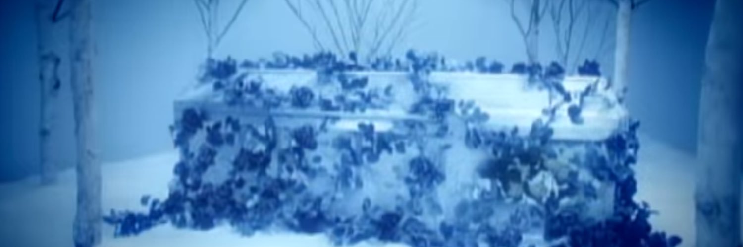 rose jam 🥀 banner