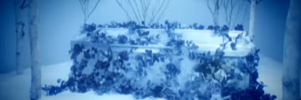 vampireemiss Profile Banner