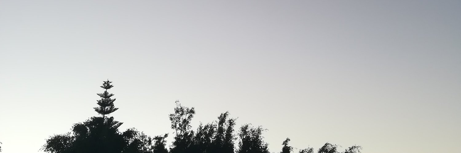 Chiarixx's profile banner image