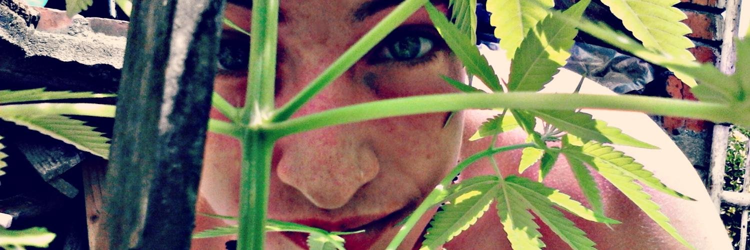 mishellcardozo's profile banner image