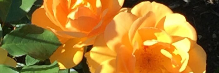 77mkc's profile banner image