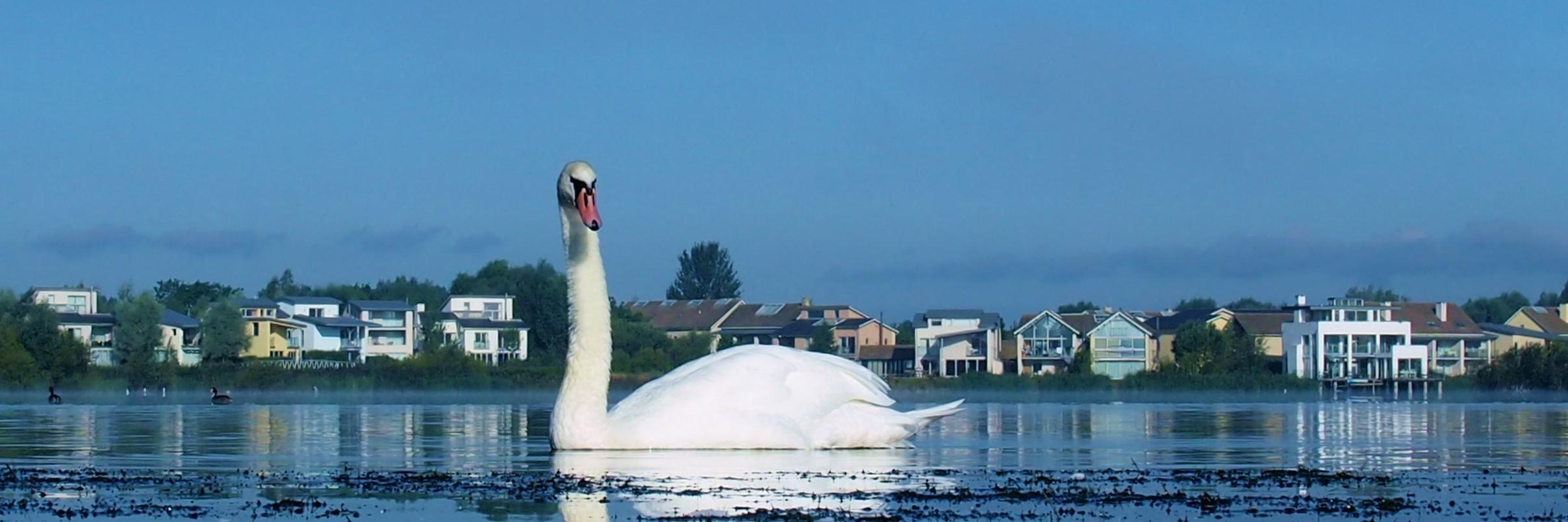Habitat First Group banner