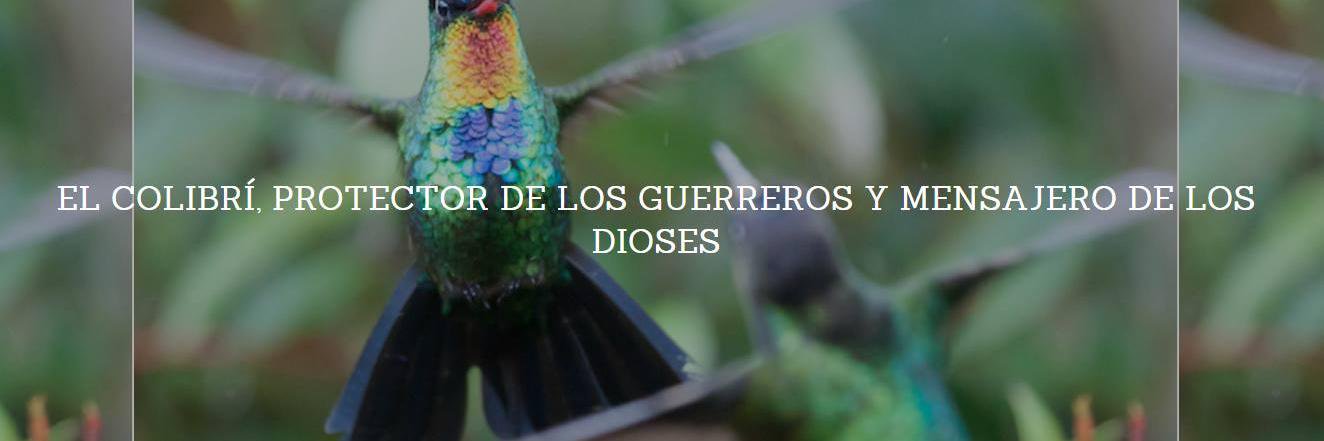 cvargas98's profile banner image