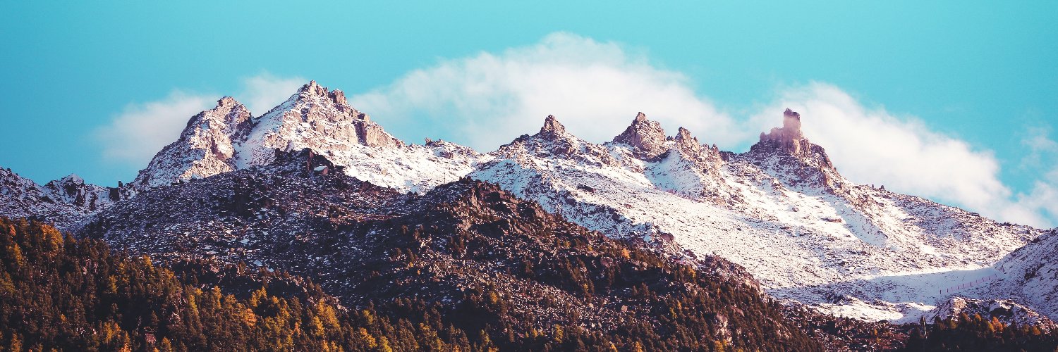 Swiss Young Immunologists Society (SYIS)'s banner