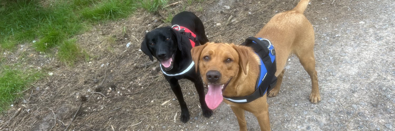 Fire Service Search Dog’s Eric and Saxon banner