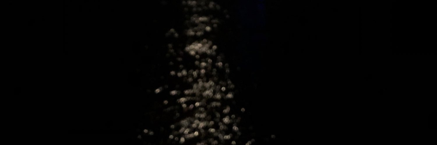 salomé banner