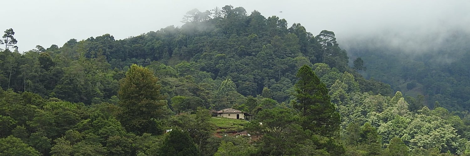 Romel  Romero ™ banner