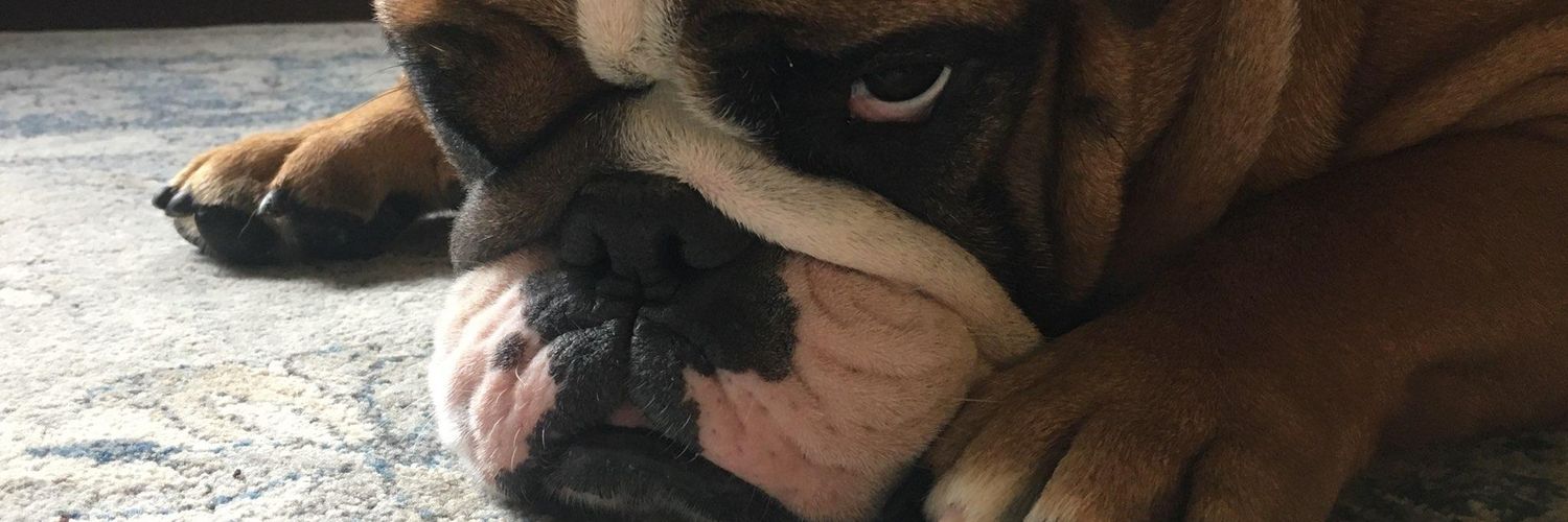 BillDumb5's profile banner image