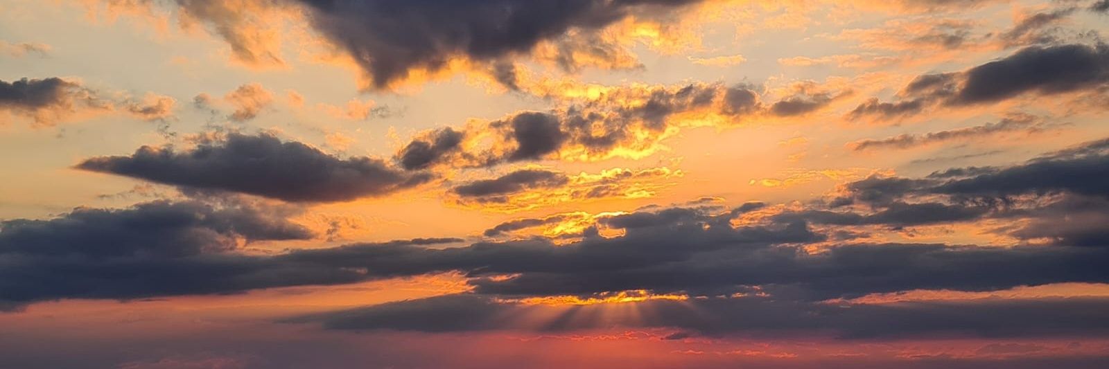 LenRockdriguez's profile banner image