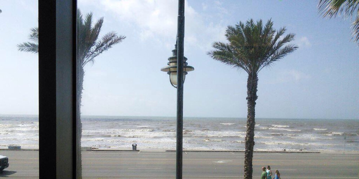 Charlotte Larson banner