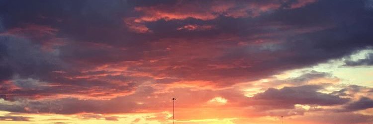 tinibini95's profile banner image