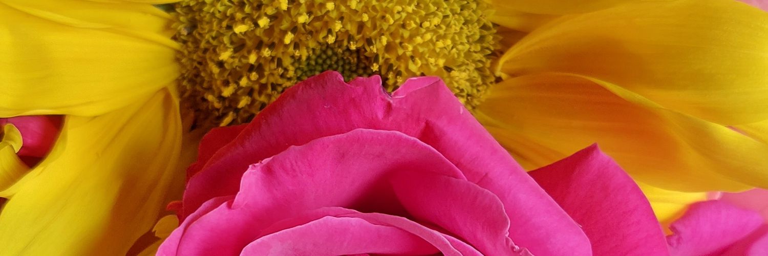 chabe_alma's profile banner image