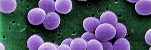 CHASEMedHums Profile Banner