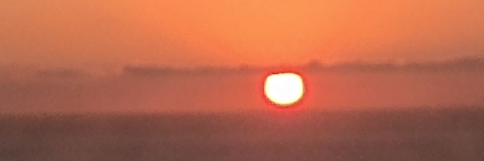 monroy27's profile banner image