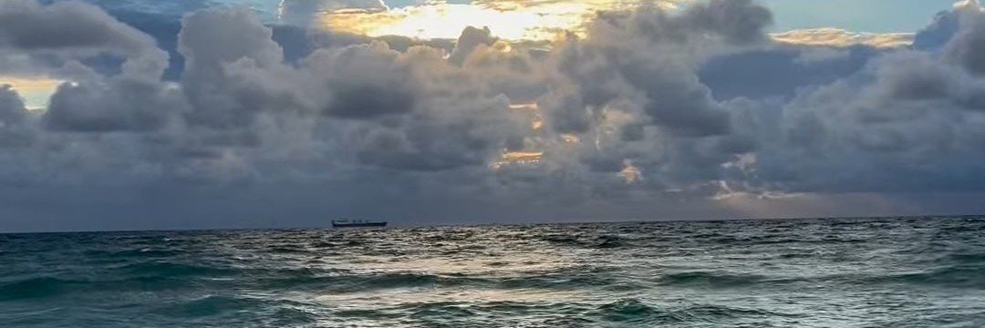 FaLunaar's profile banner image