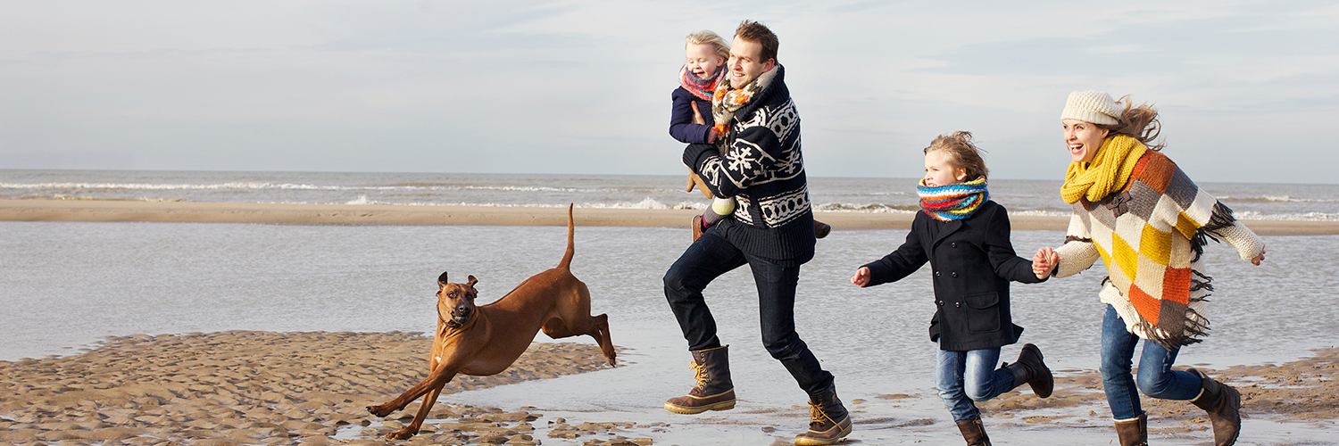 BudgetNederland's profile banner image