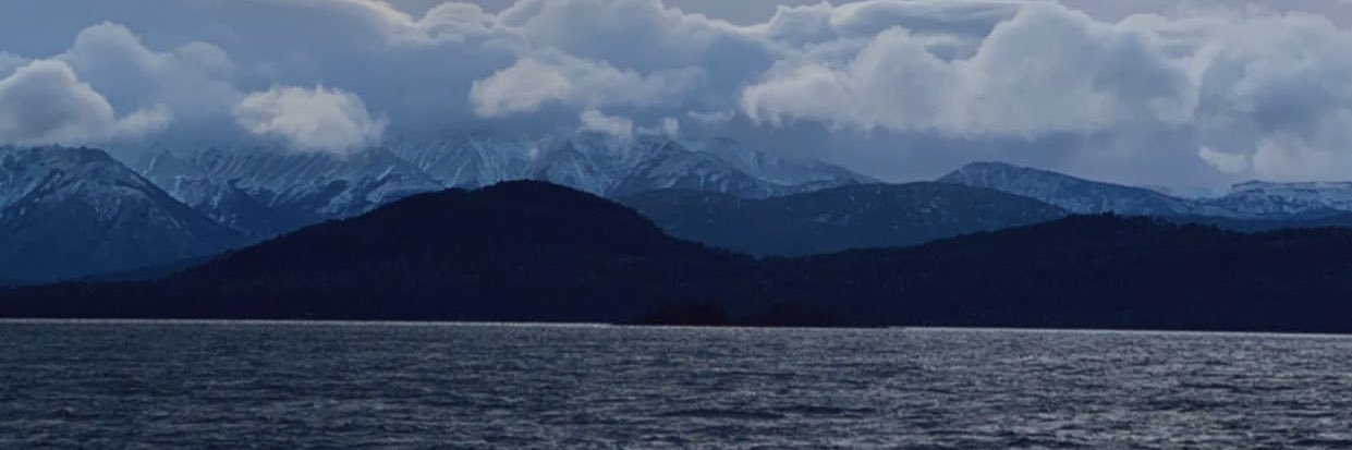 nic o banner