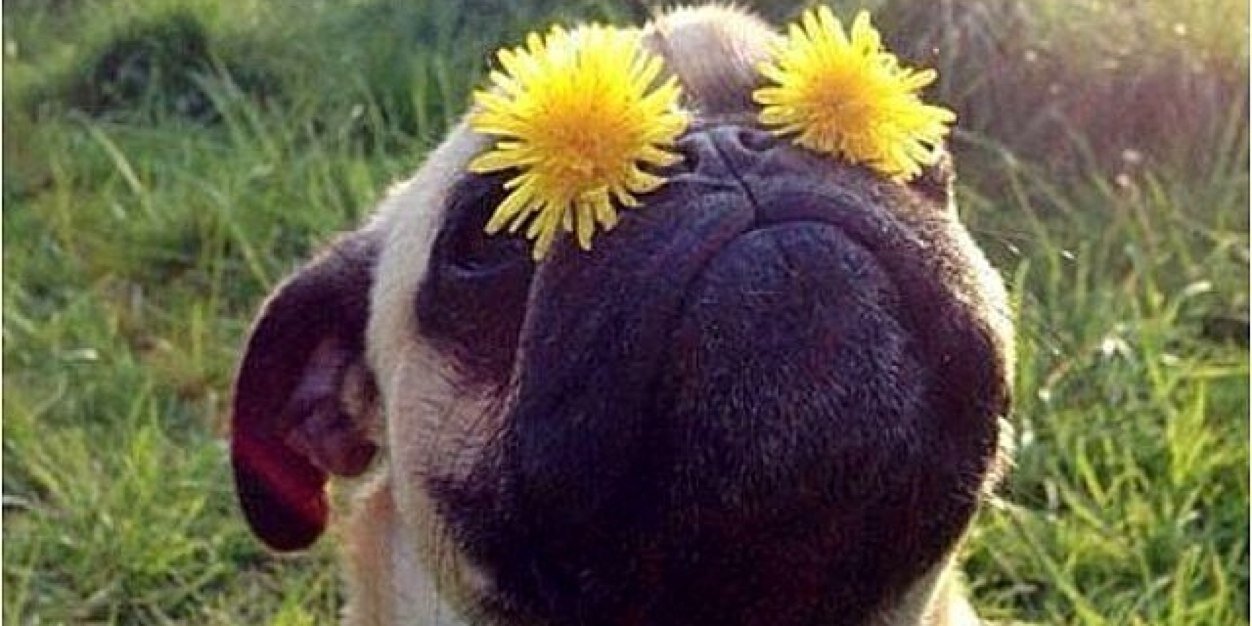 Brittany Galen banner