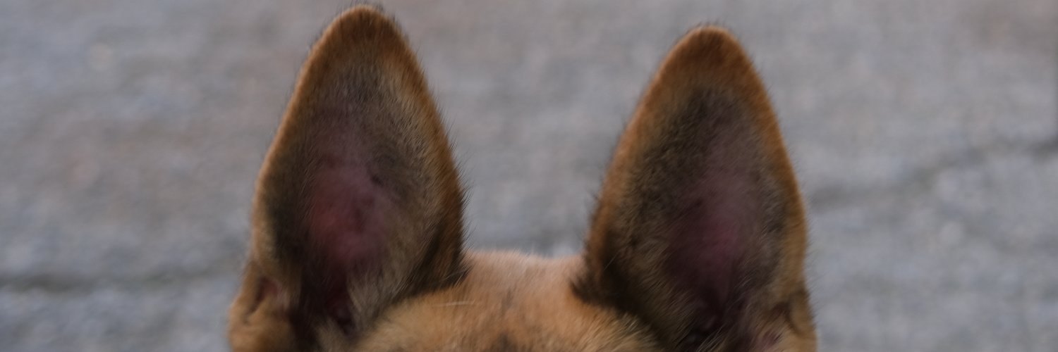 PupScanLA's banner