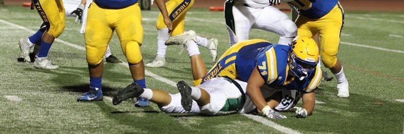 Vince McGlenn banner