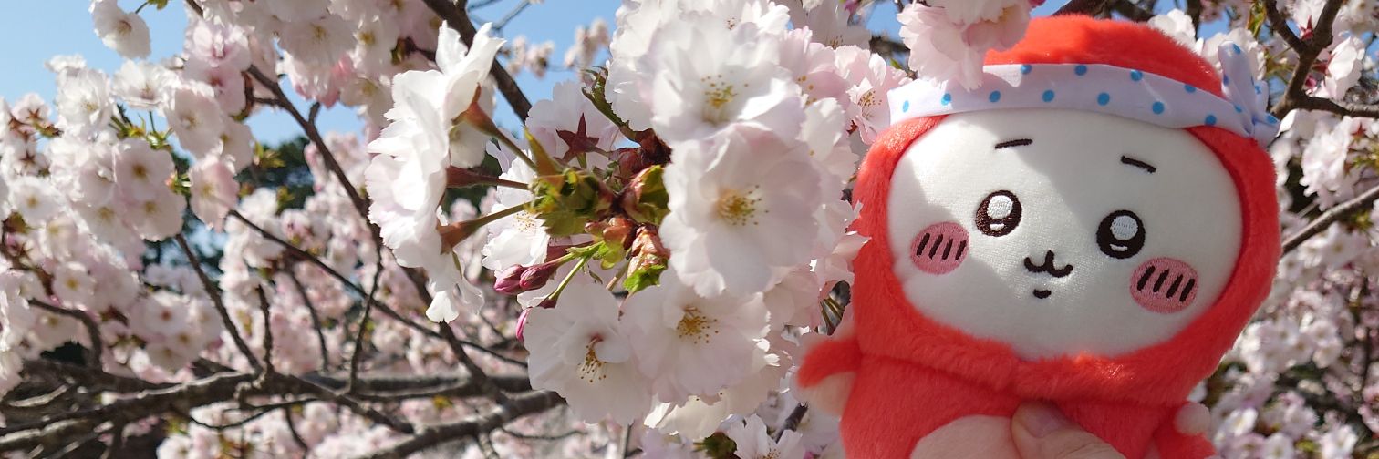 紬 banner