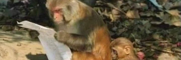 GithinjiClinton's profile banner image