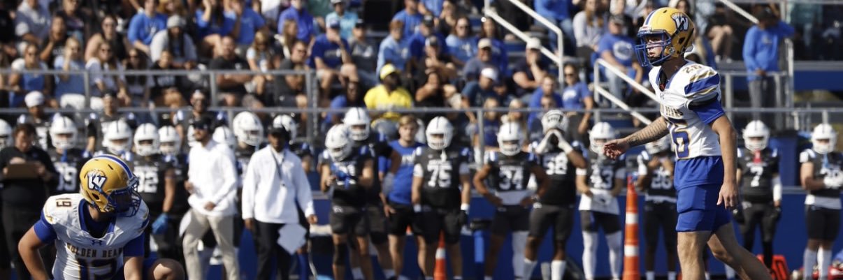 Massimo LoGrasso banner