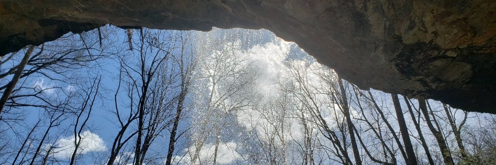 Jessica Gokee LaRose, PhD banner