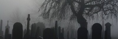 madprincessjuls's profile banner image