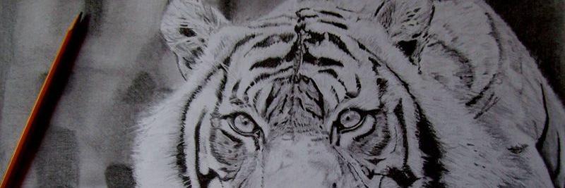 Ale__Franco's profile banner image