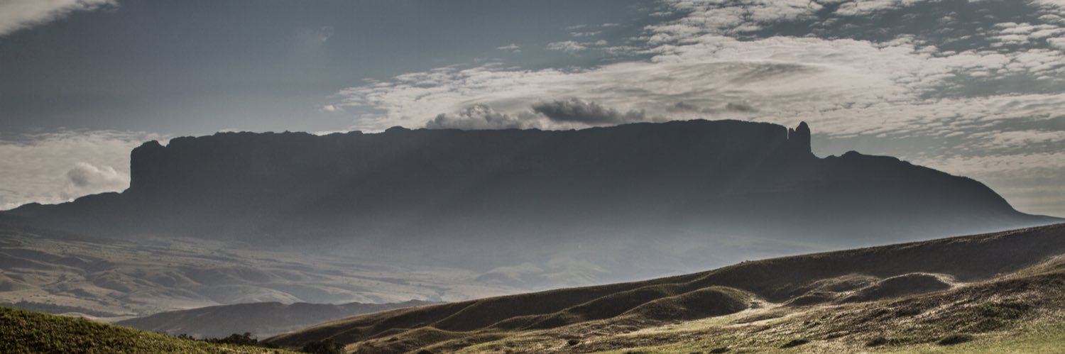 Rocio Molina banner