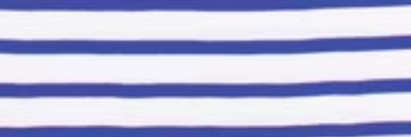 Wonderfool 🏳️‍🌈 ✡️ 🇩🇪 banner