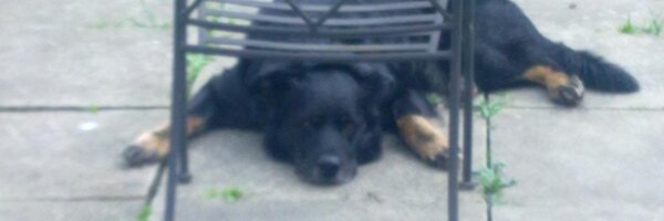 SteveatSynonym Profile Banner