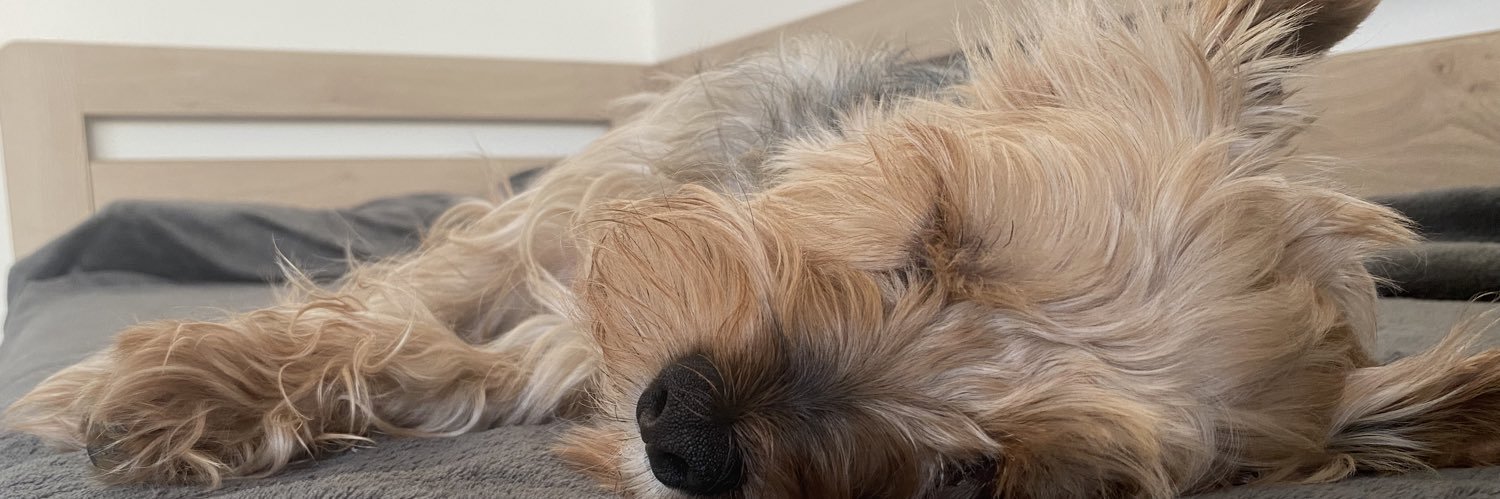 LuaDerly's profile banner image
