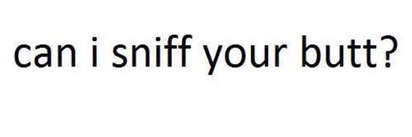 Sniff banner