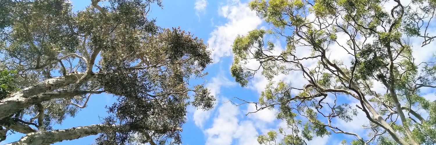 _jegg's profile banner image